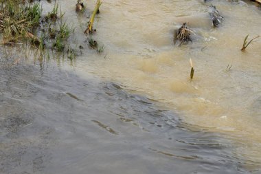 Büyük bir nehri olan nehir