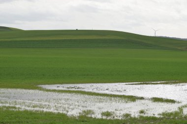 Bir tarlanın ortasında yeşil çimlerle kaplı bir arazi.