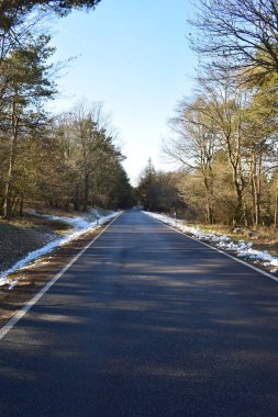 Kışın ormanda asfalt yol bomboş.