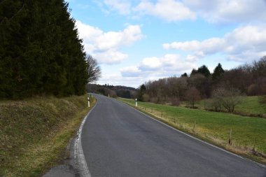 Ormana giden yol.