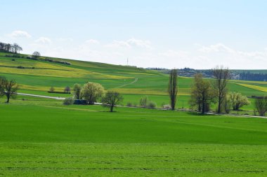 Kırsal kesimde bahar manzarası, Czech Cumhuriyeti