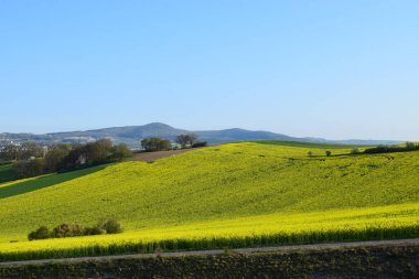 Mavi gökyüzü ve beyaz bulutlu yeşil alan