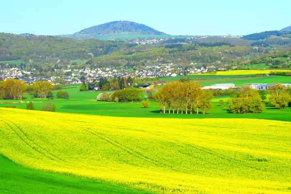 Alman Alplerinde bahar