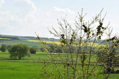 Doğanın güzel manzarası