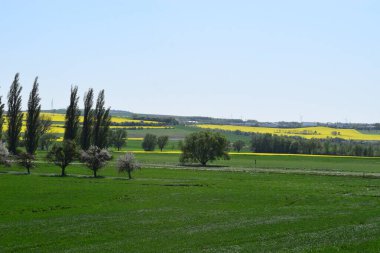 Doğanın güzel manzarası