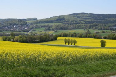 Doğanın güzel manzarası