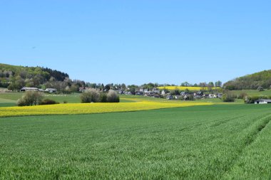 Alman Muensterland 'inde bahar manzarası
