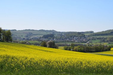 Çiçekli güzel manzaranın manzarası