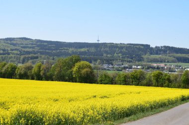 Dağlarda bir yolu olan manzara