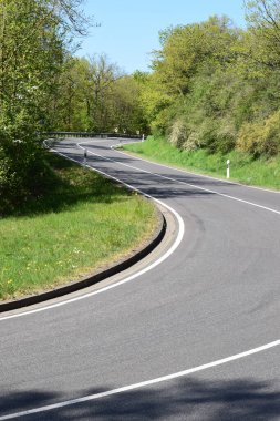 boş asfalt yol ormanı