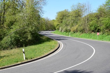 Kırsaldaki yol ve orman