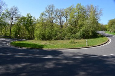 Ağaçları ve mavi gökyüzü olan güzel bir yol.