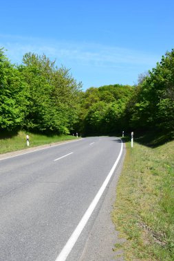 Ormanın içinden geçen bir yol. Ağaçların arasından geçen yol