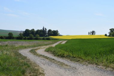 Yolun manzarası İsrail 'in kuzeyinin kırsal kesimlerinde.