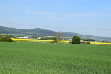 Tarlaları ve çayırları olan manzara