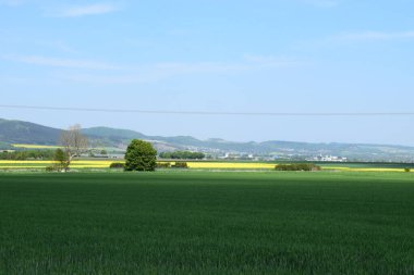 Yazın kırsal alanların manzarası
