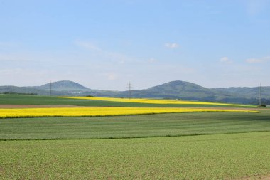 Arazi ve mavi gökyüzü, manzara