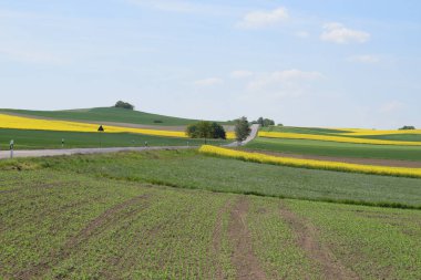 Sarı çiçekli ve yollu güzel bir manzara.