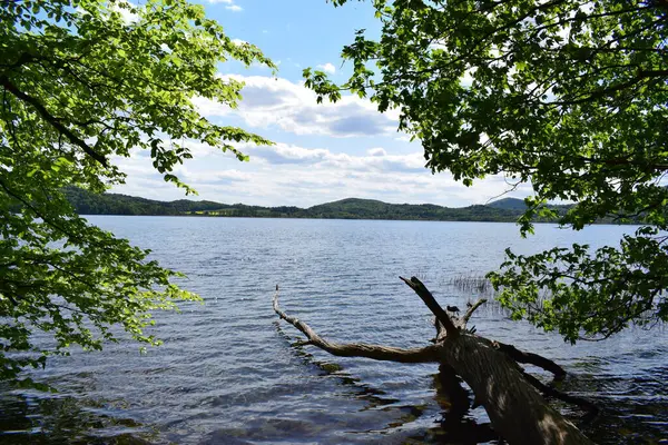 Doğanın güzel manzarası