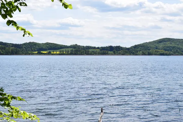 Gündüz vakti yeşilliklerle çevrili güzel bir göl görüntüsü.