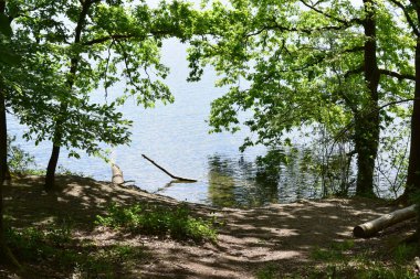 Ormandaki göl. Ormanın ortasındaki göl..