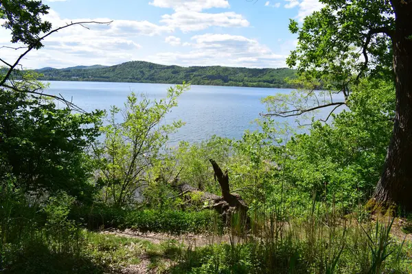 Ağaçlı güzel bir göl.