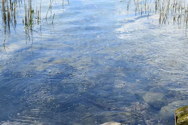 Dalgalar ve mavi denizli su akıntısı.