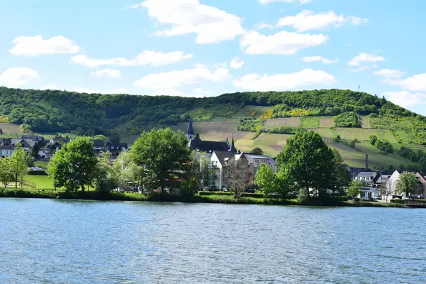 Mosel 'deki Ellenz köyü manzarası, Almanya,