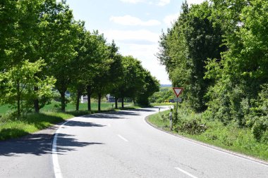 Güney Almanya 'da yazın yeşil ağaçlar ve mavi gökyüzü olan bir yol.