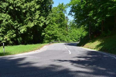 Ormanda yol