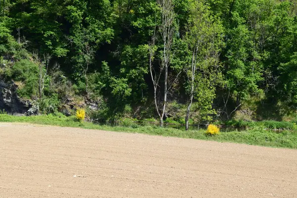 Genç bir adamla bahar manzarası