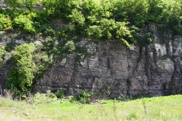 Dağın güzel doğal manzarası
