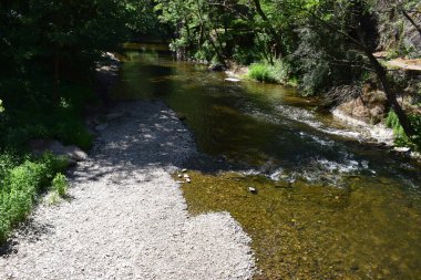 Ormanda akan güzel Ahr nehri, doğa arka planı. yüksek kaliteli fotoğraf