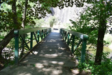 Ormanda ahşap köprü