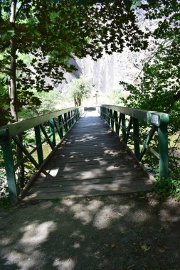 Ormandaki dağ nehri üzerindeki tahta köprü.