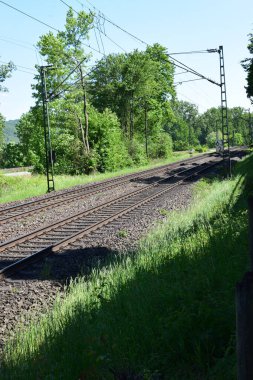 Ormanda demiryolu rayları