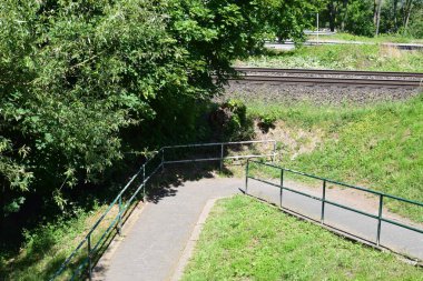 Ormanda demiryolu rayları