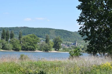 Yazın Ren, su seviyesi düşük.