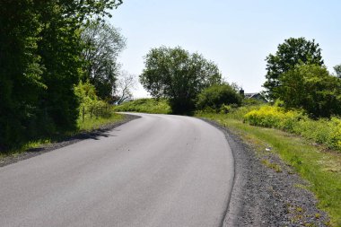 Asfalt yol ve yeşil çimenler