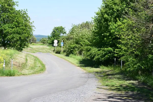 Ağaçlı güzel kırsal yol