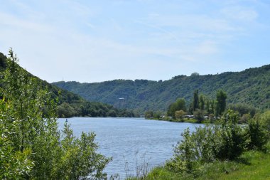 Nehir ve ağaçlar yazın