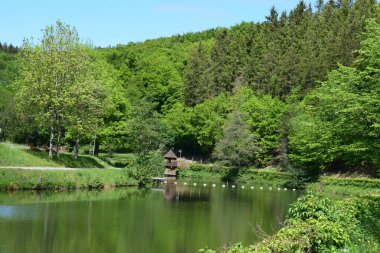 Parkın güzel manzarası.