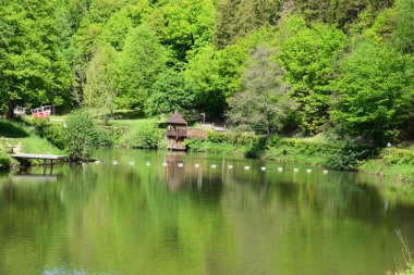 Gölün ortasında çeşmesi olan bir gölet..