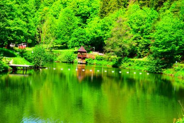 Güzel göl manzarası