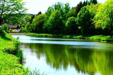 Nehir ve ormanlı güzel bir manzara.
