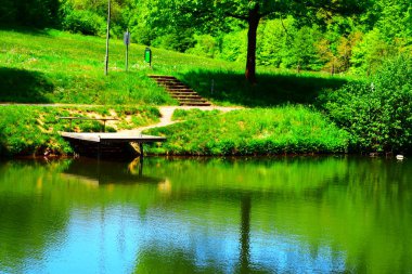 Parktaki yeşil göl