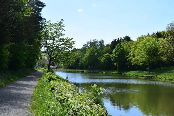Güzel doğa manzarasının manzarası