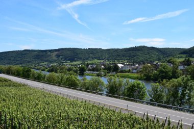 Köstebek Nehri 'ni ve Köstebek Vadisi' nin Köstebek Vadisi 'ni görün, köstebek le le le mosel