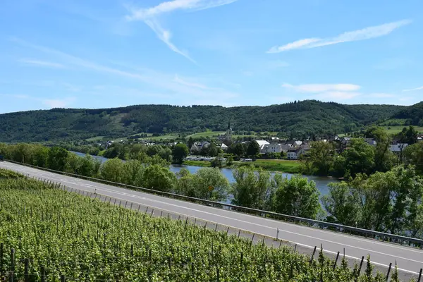 Köstebek Nehri 'ni ve Köstebek Vadisi' nin Köstebek Vadisi 'ni görün, köstebek le le le mosel