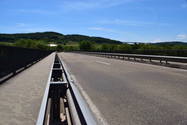 Ormandan geçen yol manzarası